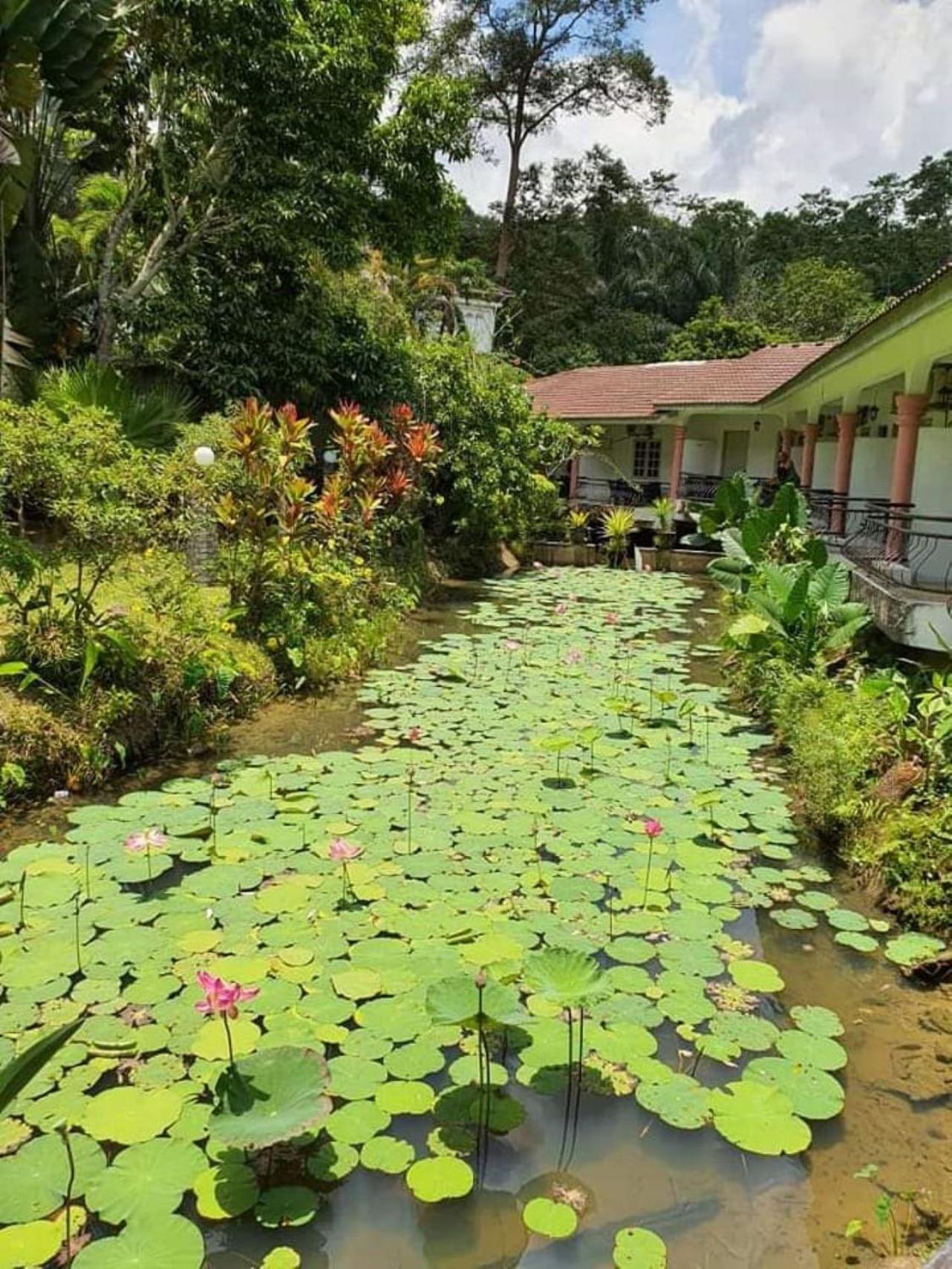 Seri Pengantin Resort Kampung Janda Baik Exterior photo