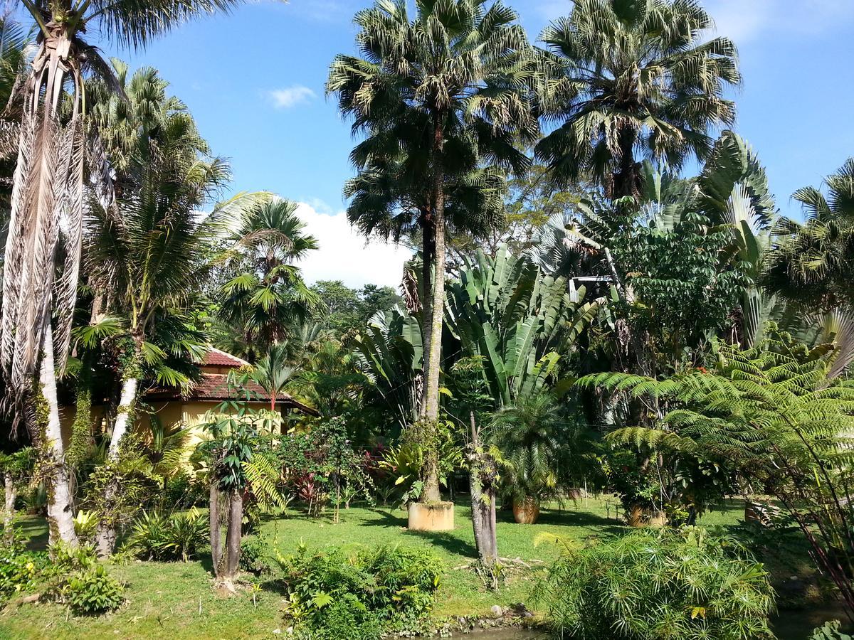 Seri Pengantin Resort Kampung Janda Baik Exterior photo